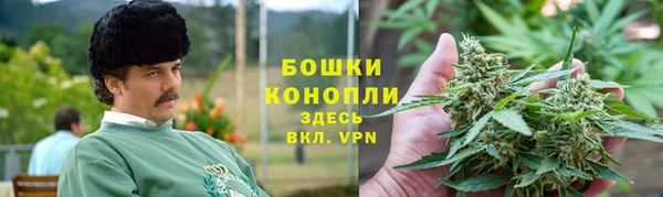 прущие грибы Грязи