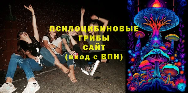 прущие грибы Саяногорск