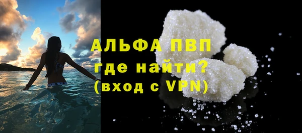 прущие грибы Саяногорск
