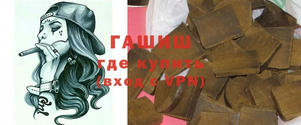прущие грибы Саяногорск