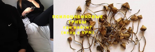 дурь Сатка