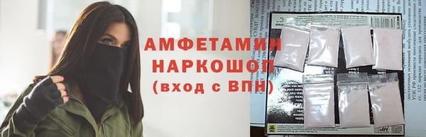 прущие грибы Саяногорск