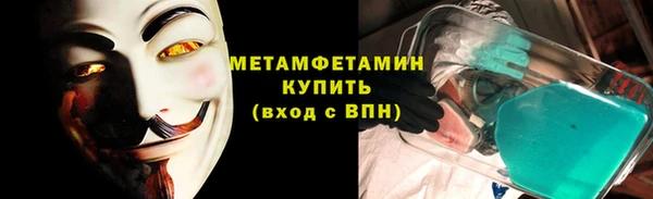 прущие грибы Саяногорск