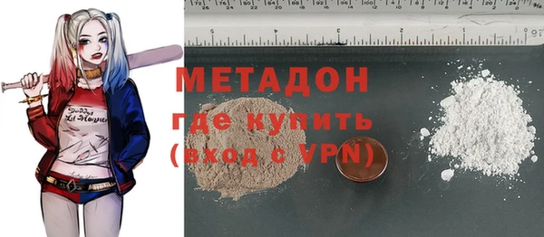 прущие грибы Саяногорск