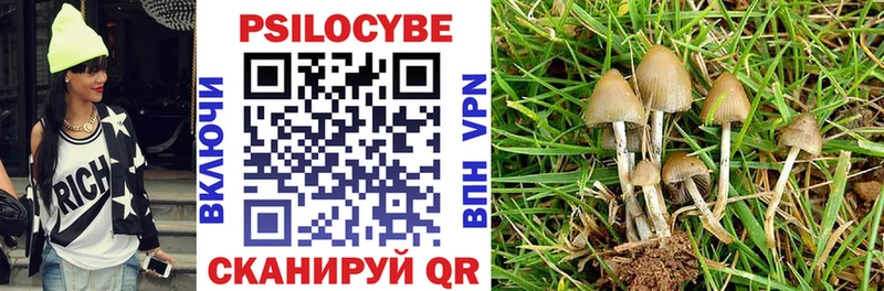 Псилоцибиновые грибы GOLDEN TEACHER продажа наркотиков Зубцов